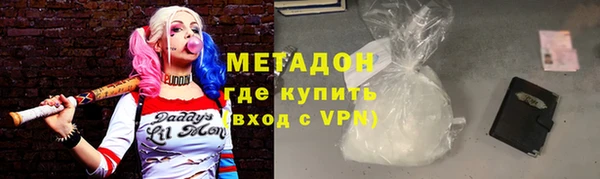 прущие грибы Аркадак