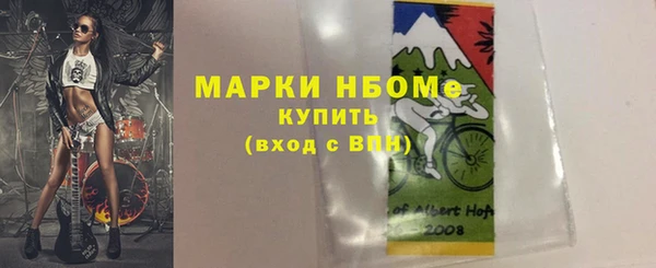прущие грибы Аркадак