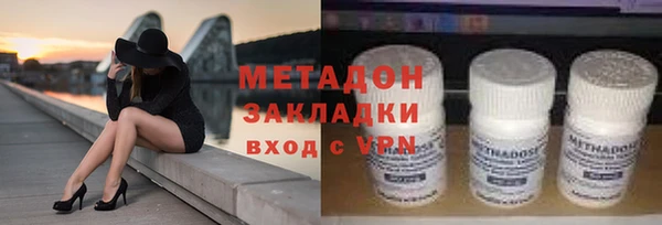 прущие грибы Аркадак