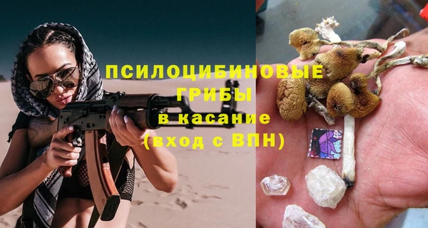 прущие грибы Аркадак