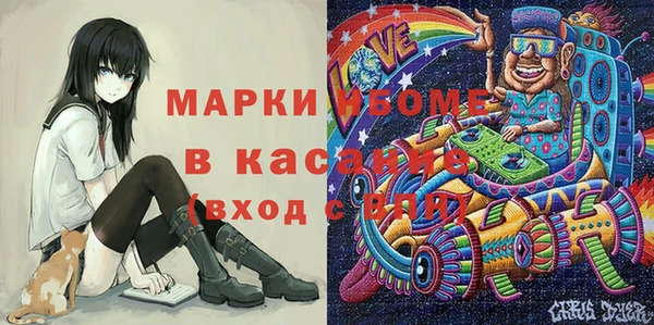 прущие грибы Аркадак