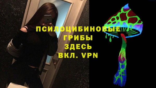 прущие грибы Аркадак